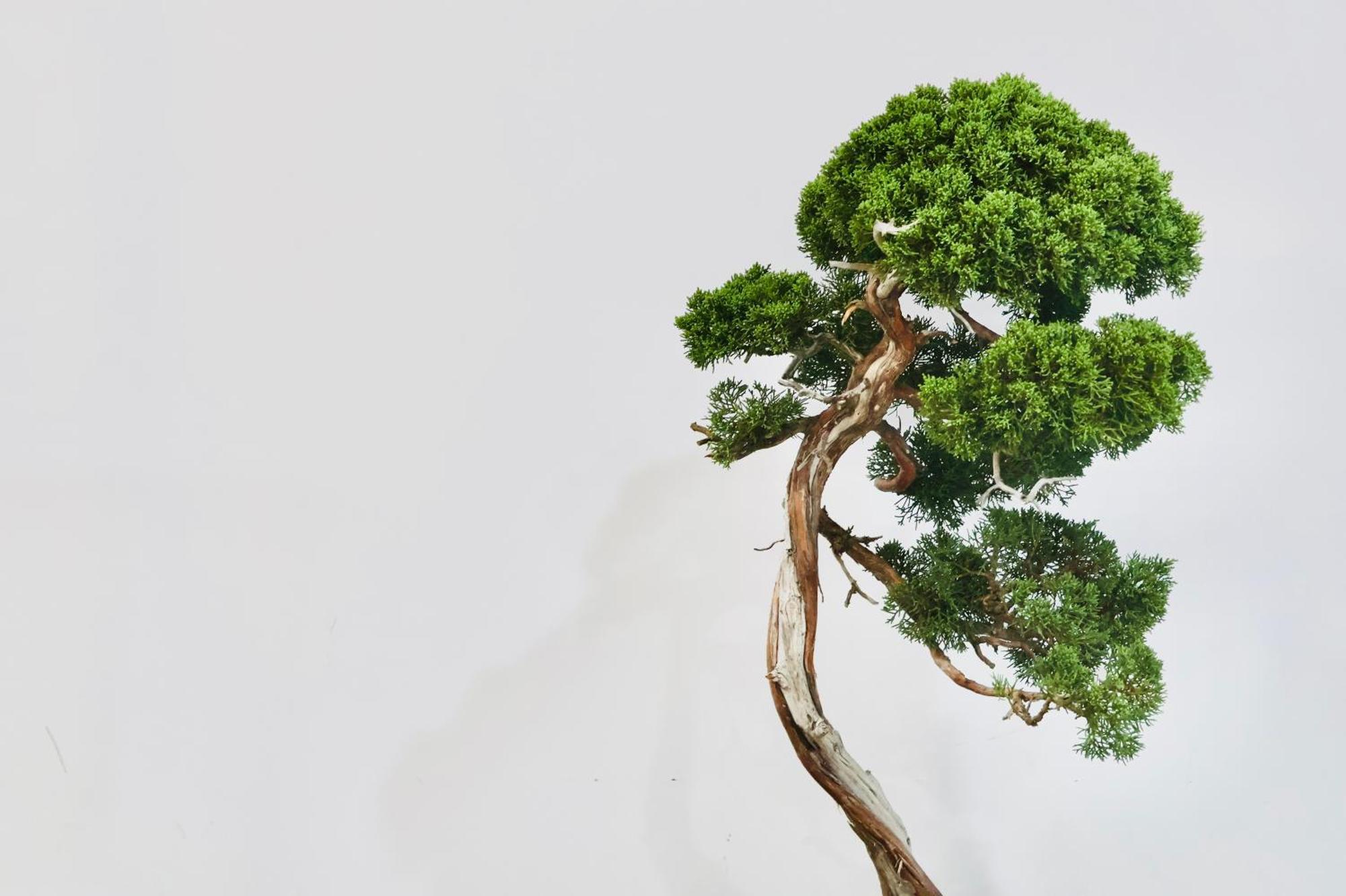 The Root2 Hotel Kyoto Bagian luar foto